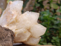 Natural Candle Quartz Clusters x 3 From Madagascar