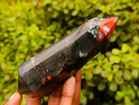 Polished Double Terminated Bloodstone Points x 6 From Swaziland - Toprock Gemstones and Minerals 