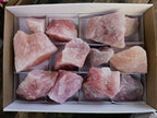 Natural Pink Rose Quartz Cobbed Specimens x 12 From North Cape, South Africa - Toprock Gemstones and Minerals 