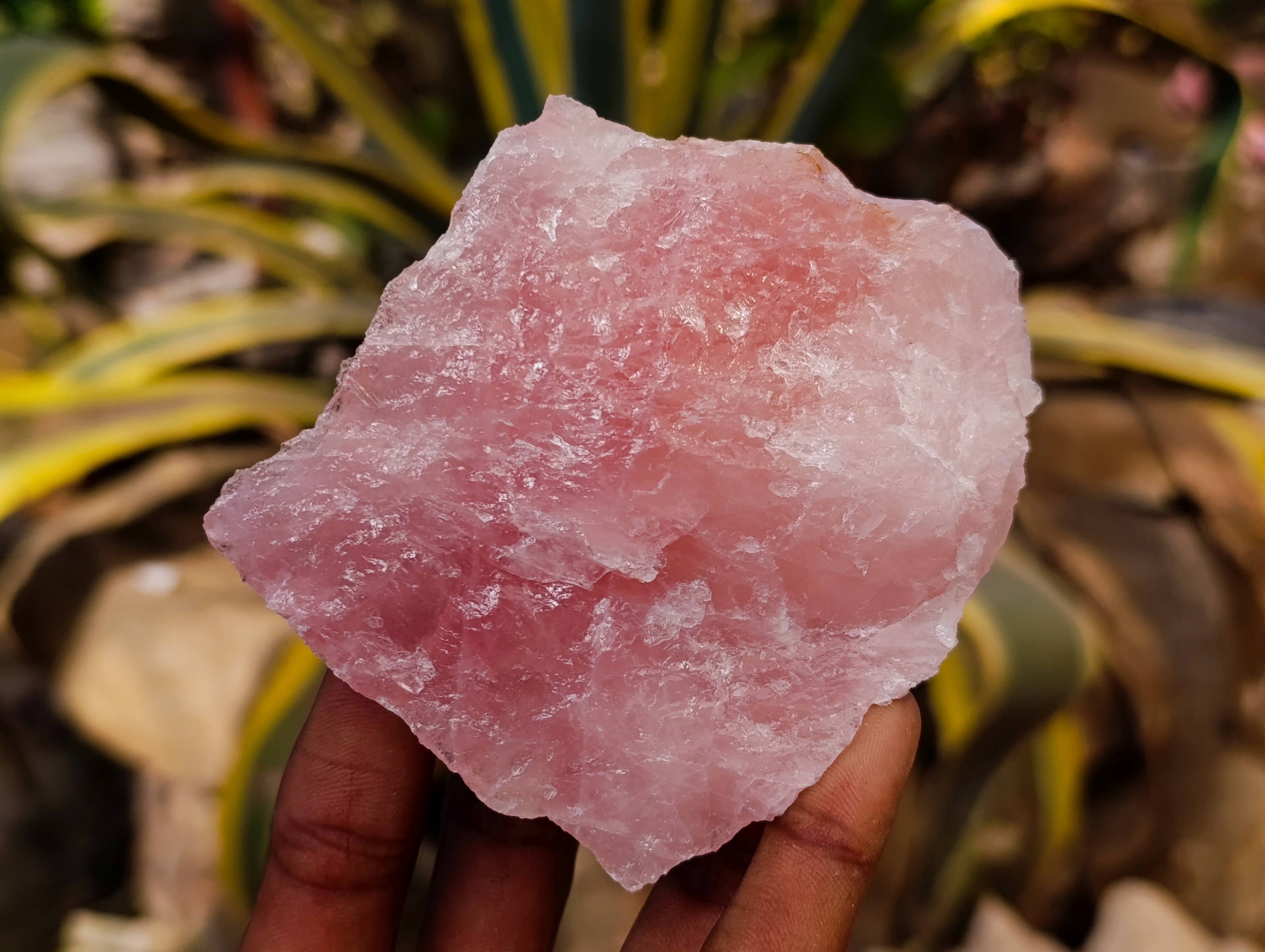 Natural Pink Rose Quartz Cobbed Specimens x 12 From North Cape, South Africa - Toprock Gemstones and Minerals 