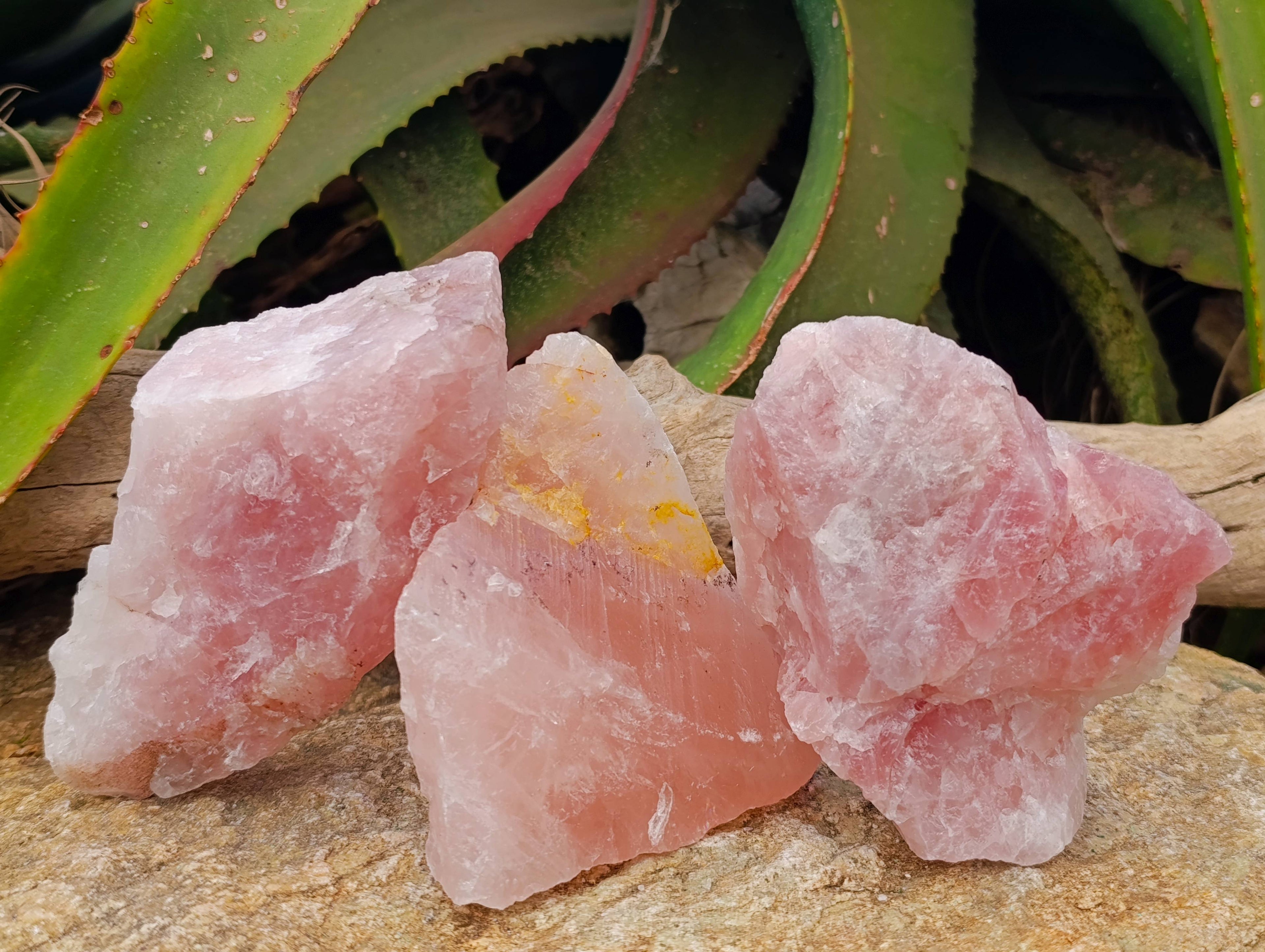 Natural Pink Rose Quartz Cobbed Specimens x 12 From North Cape, South Africa - Toprock Gemstones and Minerals 