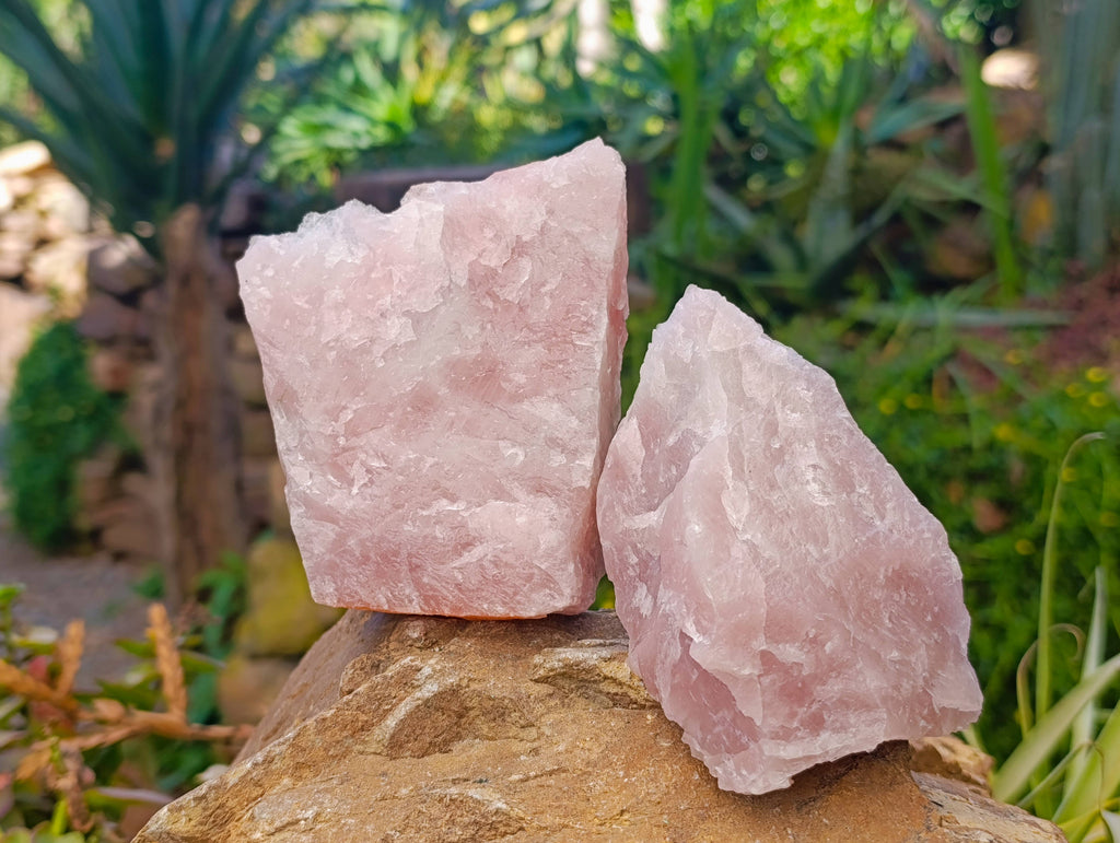 Natural Pink Rose Quartz Cobbed Specimens x 12 From North Cape, South Africa - Toprock Gemstones and Minerals 