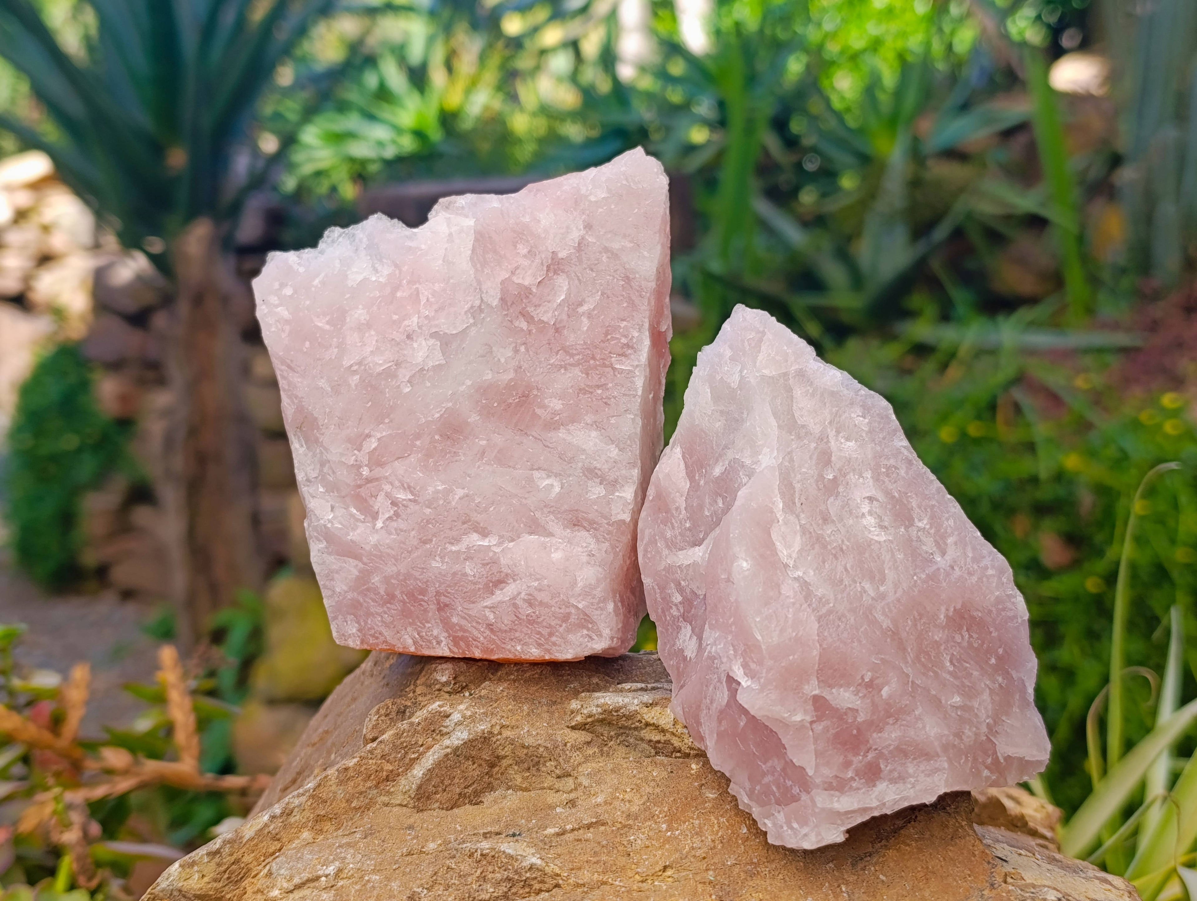 Natural Pink Rose Quartz Cobbed Specimens x 12 From North Cape, South Africa - Toprock Gemstones and Minerals 