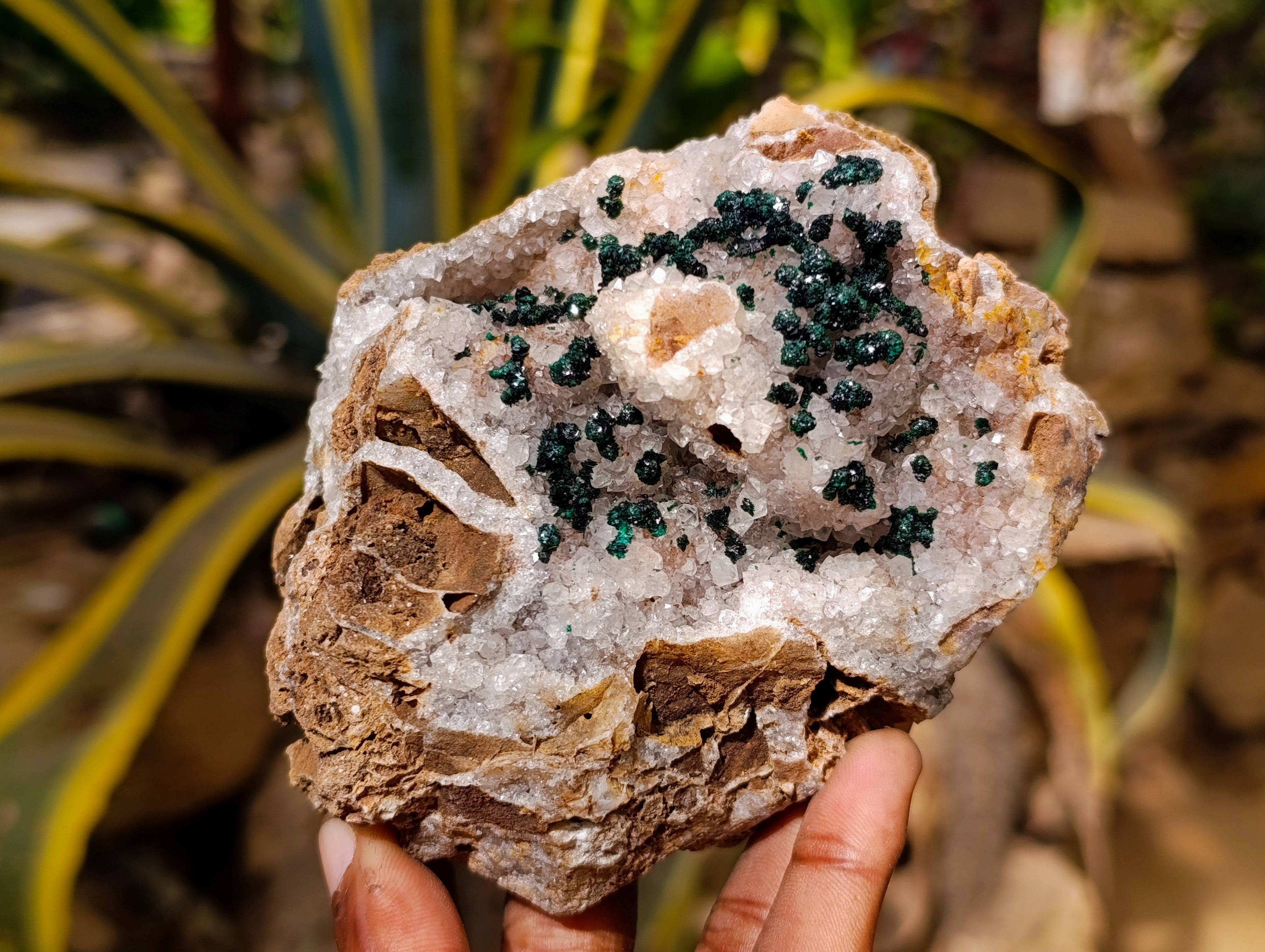 Natural Ball Malachite On Dolomite Matrix Specimens x 2 From Kambove, Congo - Toprock Gemstones and Minerals 
