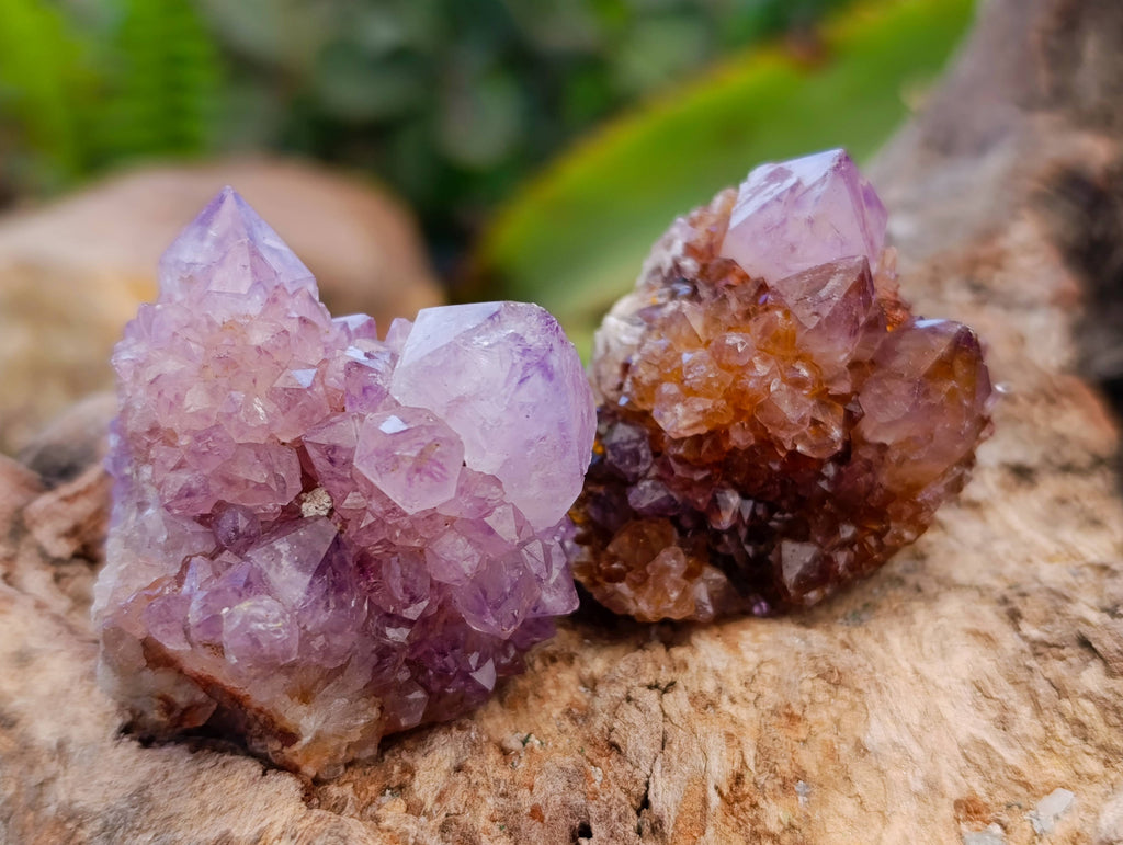 Natural Amethyst Spirit Quartz Crystals x 20 From South Africa - Toprock Gemstones and Minerals 
