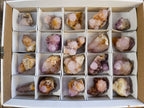 Natural Amethyst Spirit Quartz Crystals x 20 From South Africa - Toprock Gemstones and Minerals 