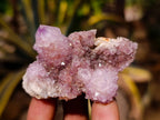Natural Amethyst Spirit Quartz Crystals x 20 From South Africa - Toprock Gemstones and Minerals 