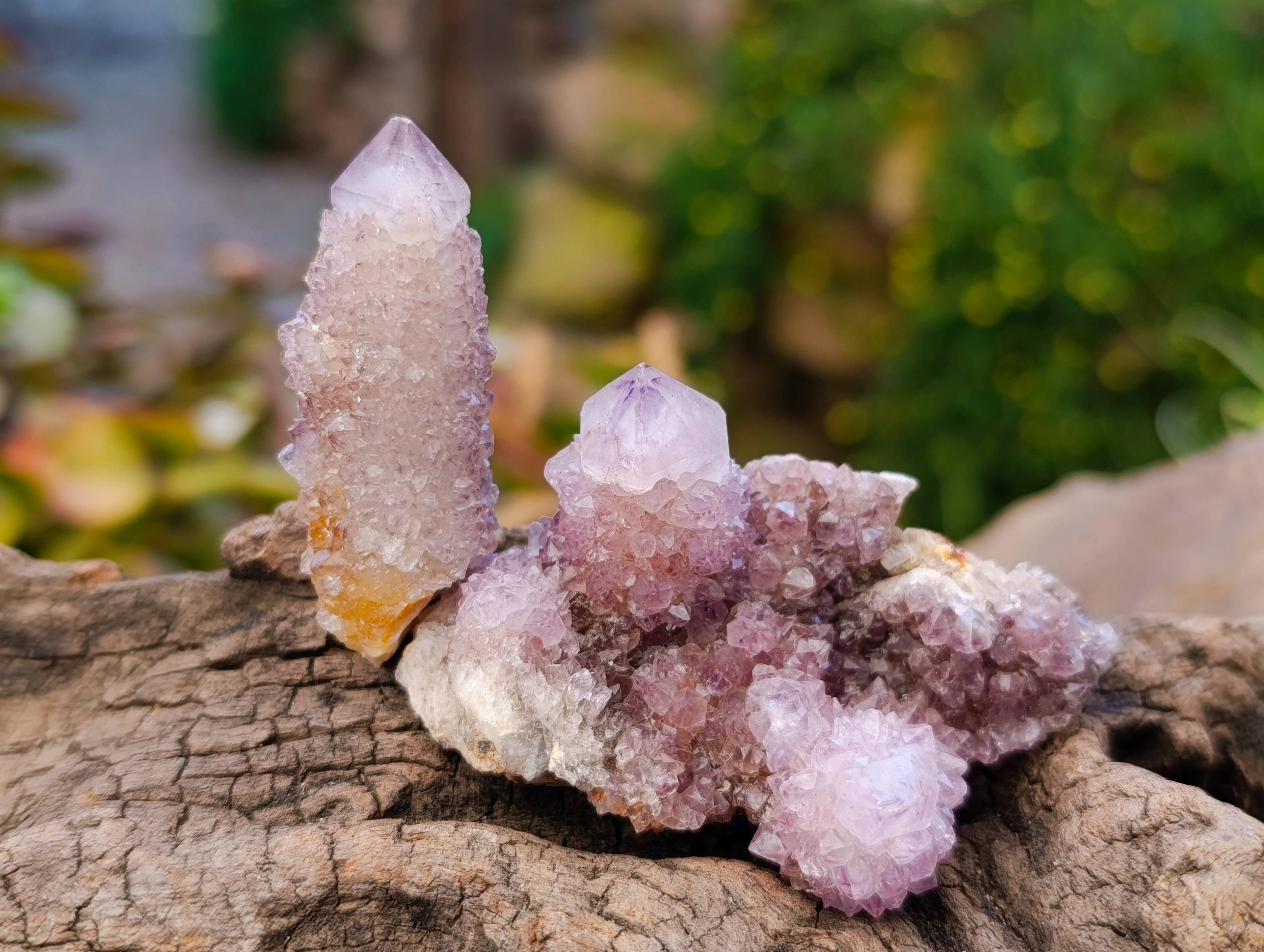 Natural Amethyst Spirit Quartz Crystals x 20 From South Africa - Toprock Gemstones and Minerals 