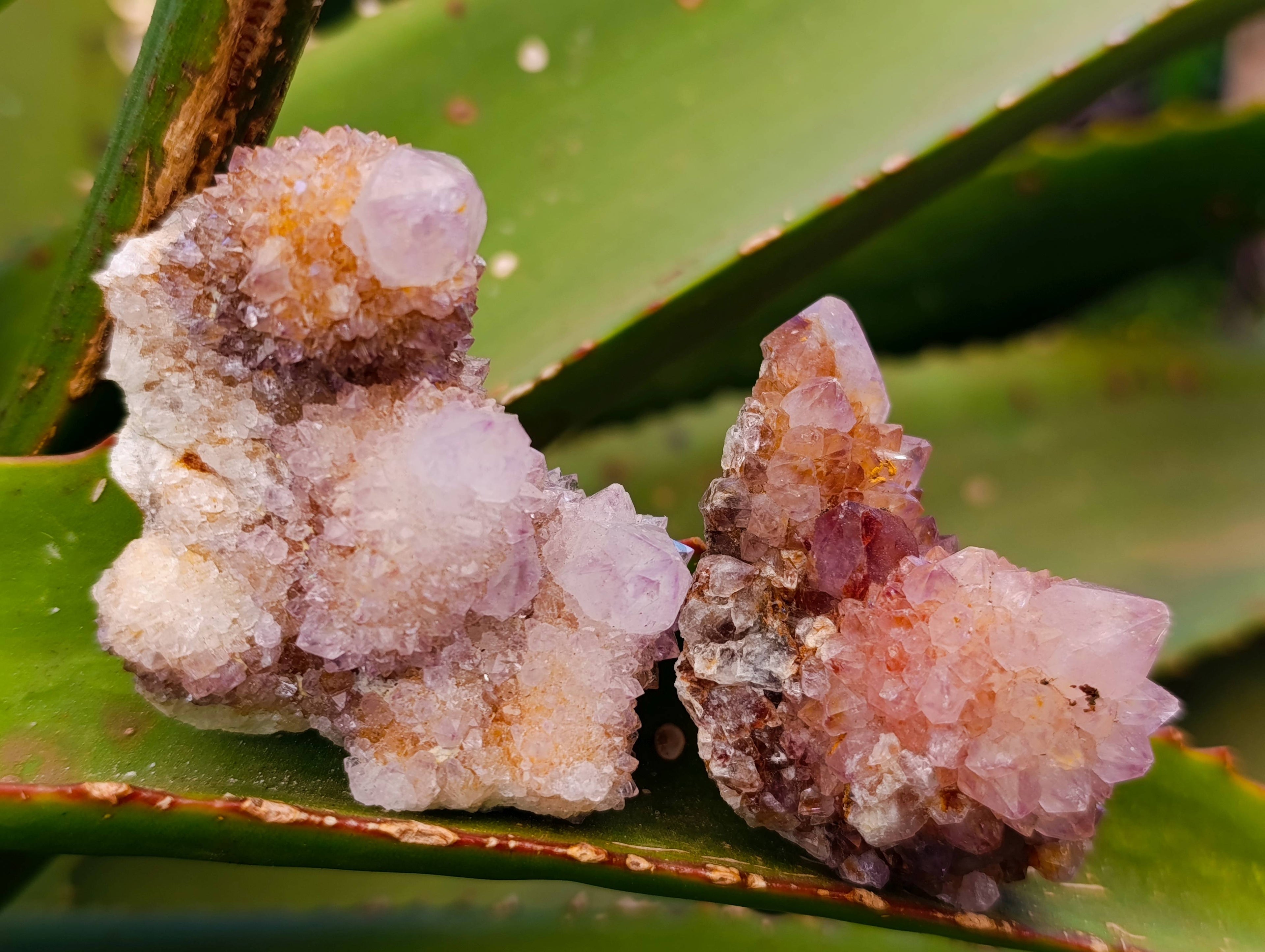 Natural Amethyst Spirit Quartz Crystals x 20 From South Africa - Toprock Gemstones and Minerals 