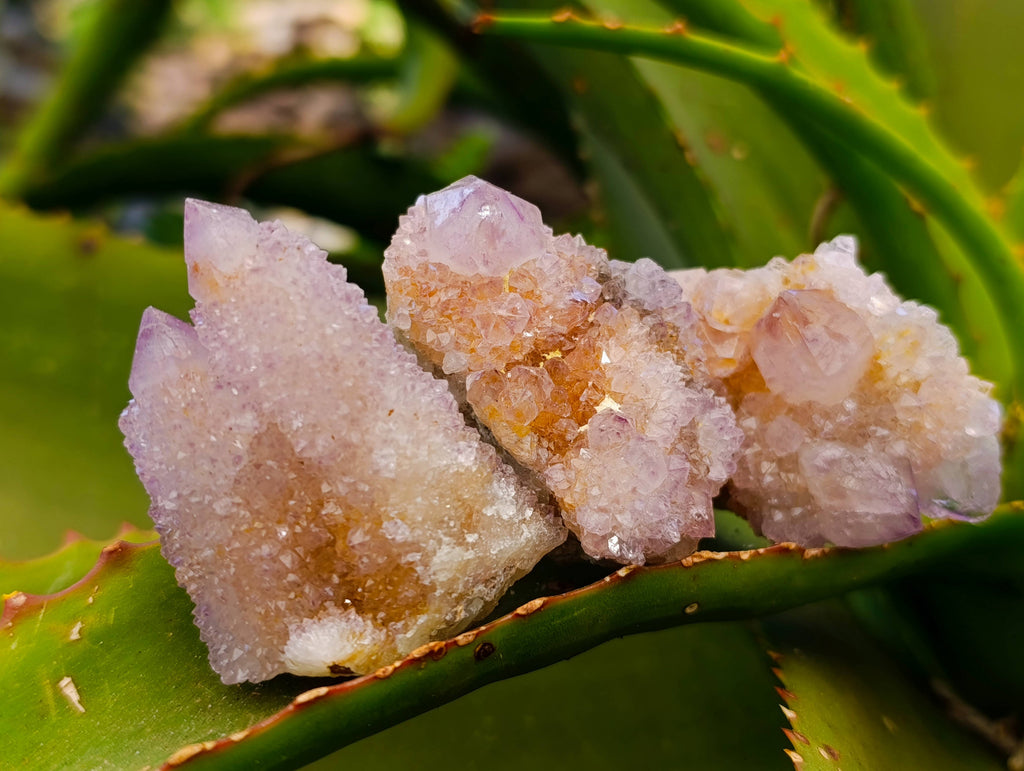 Natural Amethyst Spirit Quartz Crystals x 20 From South Africa - Toprock Gemstones and Minerals 