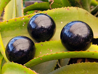 Polished Black Tourmaline Spheres x 3 From Madagascar - Toprock Gemstones and Minerals 