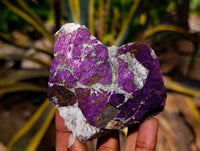 Natural Metallic Purpurite Specimens x 6 From Erongo, Namibia