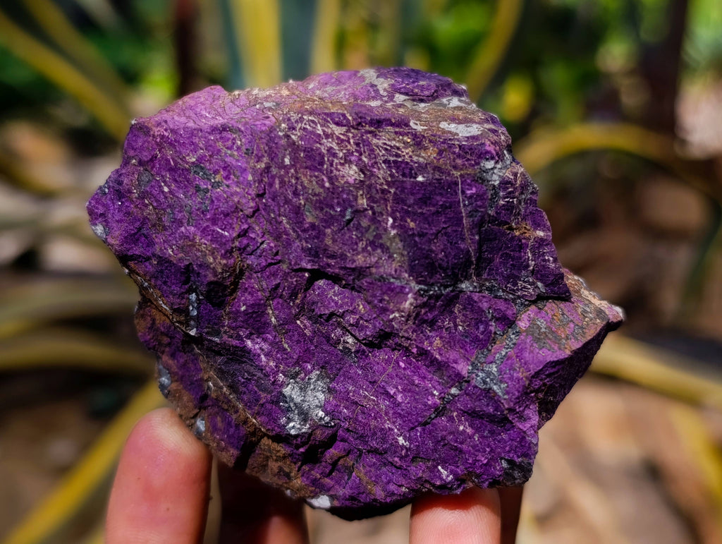 Natural Metallic Purpurite Specimens x 6 From Erongo, Namibia - Toprock Gemstones and Minerals 