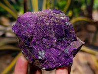 Natural Metallic Purpurite Specimens x 6 From Erongo, Namibia