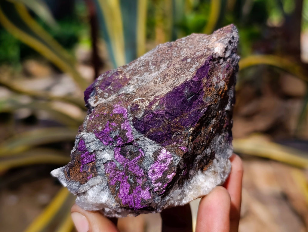 Natural Metallic Purpurite Specimens x 6 From Erongo, Namibia - Toprock Gemstones and Minerals 