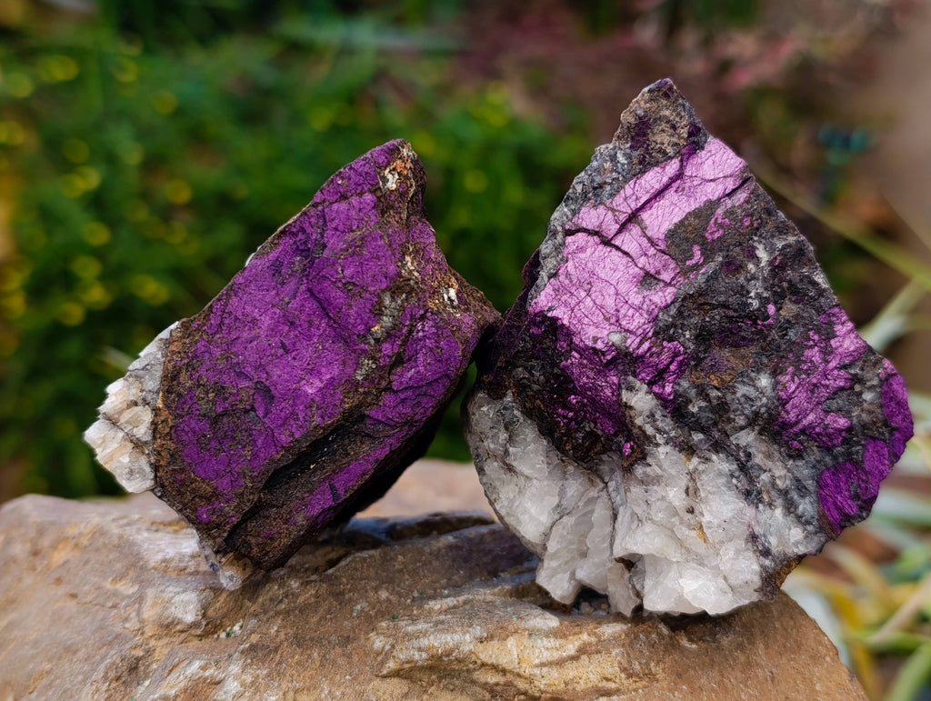 Natural Metallic Purpurite Specimens x 6 From Erongo, Namibia - Toprock Gemstones and Minerals 