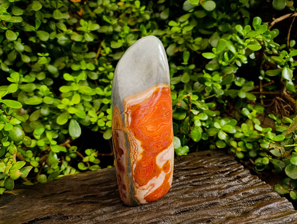 Polished Polychrome Jasper Standing Free Form x 1 From Madagascar - Toprock Gemstones and Minerals 