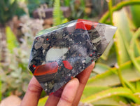 Polished Bloodstone Points x 2 From Swaziland
