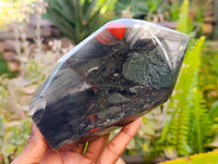 Polished Bloodstone Points x 2 From Swaziland