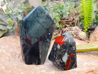 Polished Bloodstone Points x 2 From Swaziland