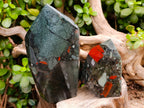 Polished Bloodstone Points x 2 From Swaziland - Toprock Gemstones and Minerals 