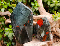 Polished Bloodstone Points x 2 From Swaziland