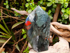 Polished Bloodstone Points x 2 From Swaziland - Toprock Gemstones and Minerals 