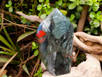 Polished Bloodstone Points x 2 From Swaziland