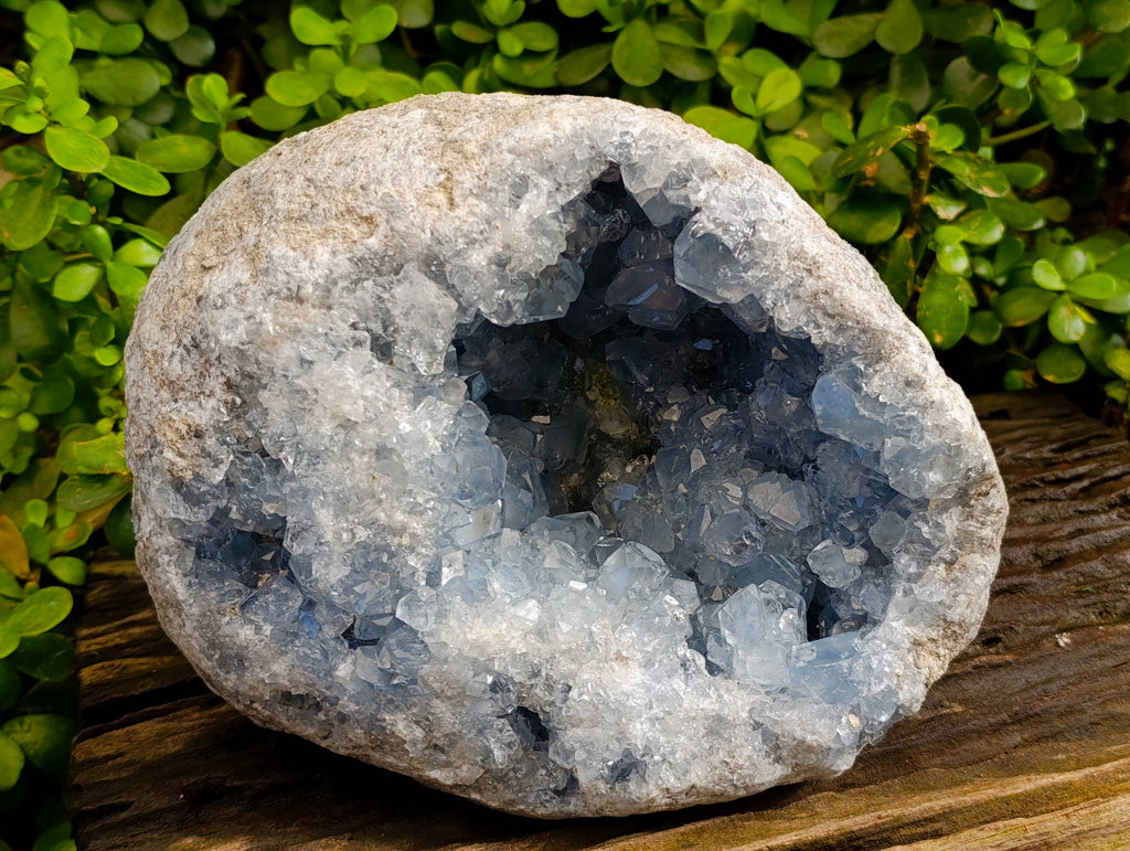 Natural Celestite Geode Specimen x 1 From Sakoany, Madagascar - Toprock Gemstones and Minerals 