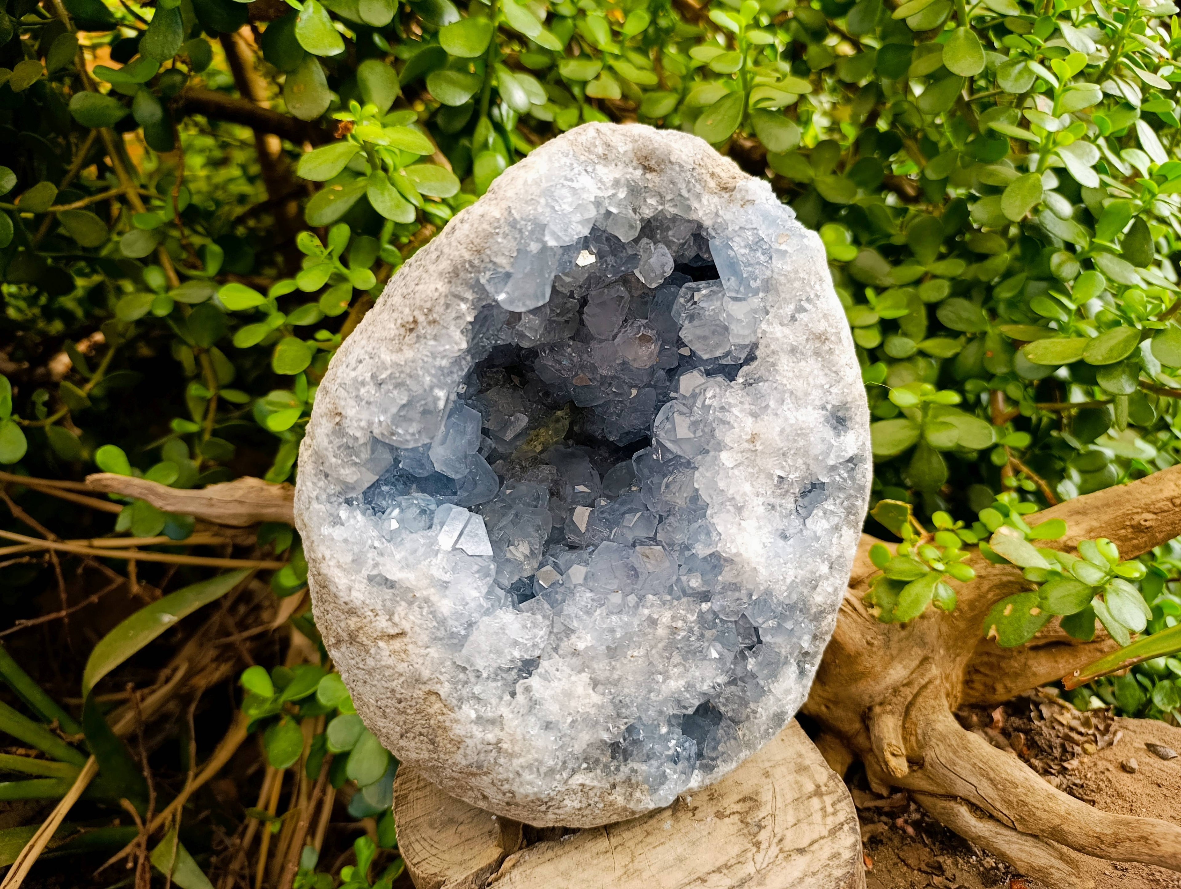 Natural Celestite Geode Specimen x 1 From Sakoany, Madagascar - Toprock Gemstones and Minerals 