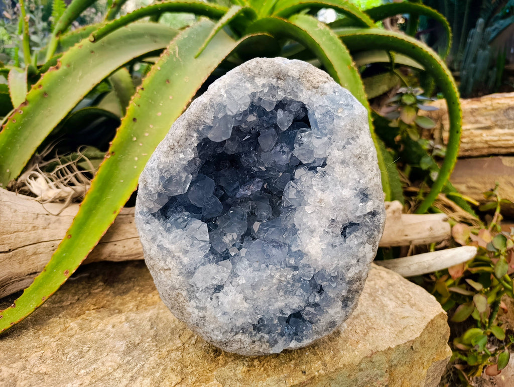 Natural Celestite Geode Specimen x 1 From Sakoany, Madagascar - Toprock Gemstones and Minerals 