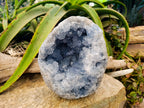 Natural Celestite Geode Specimen x 1 From Sakoany, Madagascar - Toprock Gemstones and Minerals 