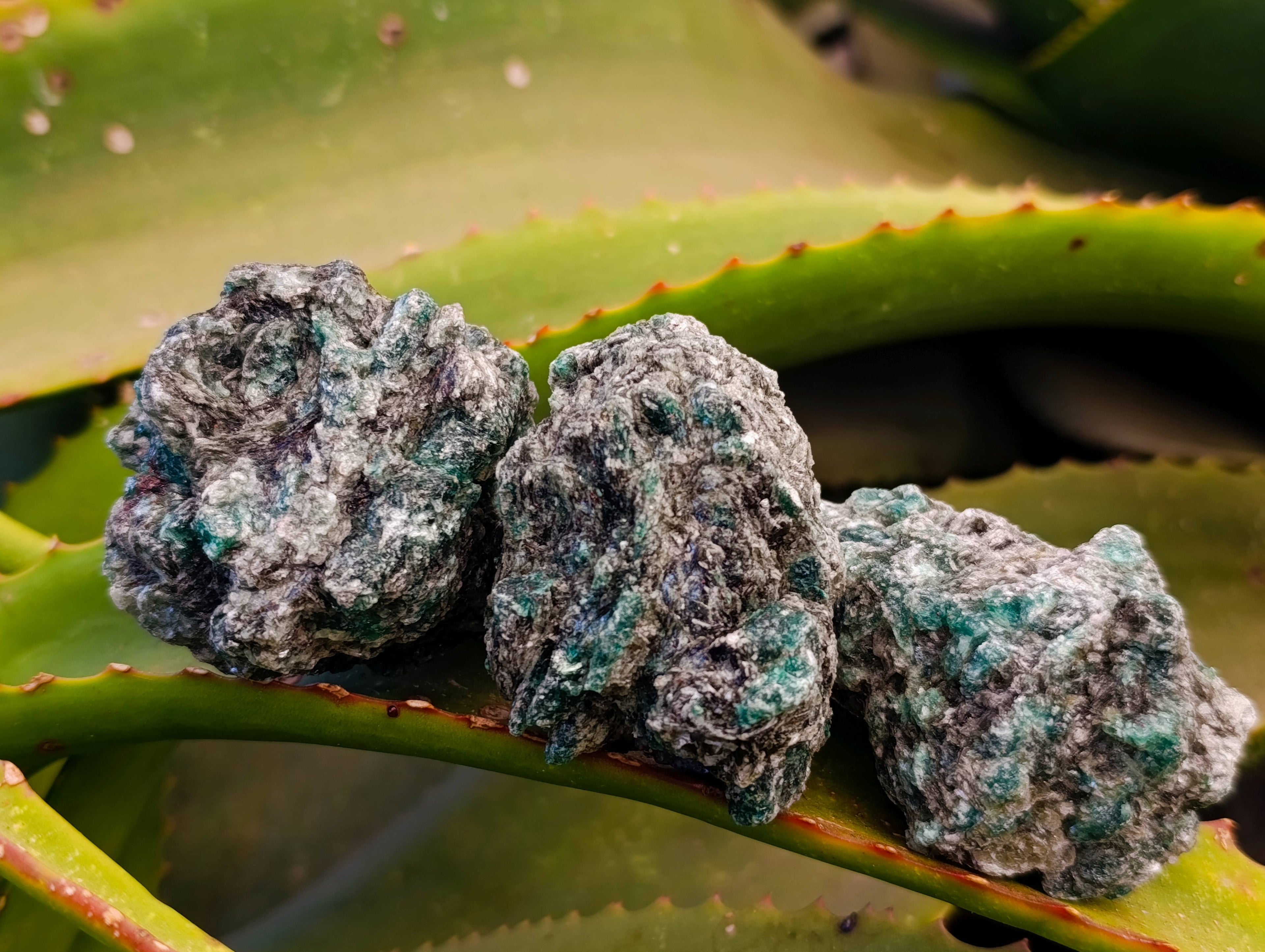 Natural Emerald Mica 'Mutokolite' Specimens x 20 From Mutoko, Zimbabwe - Toprock Gemstones and Minerals 