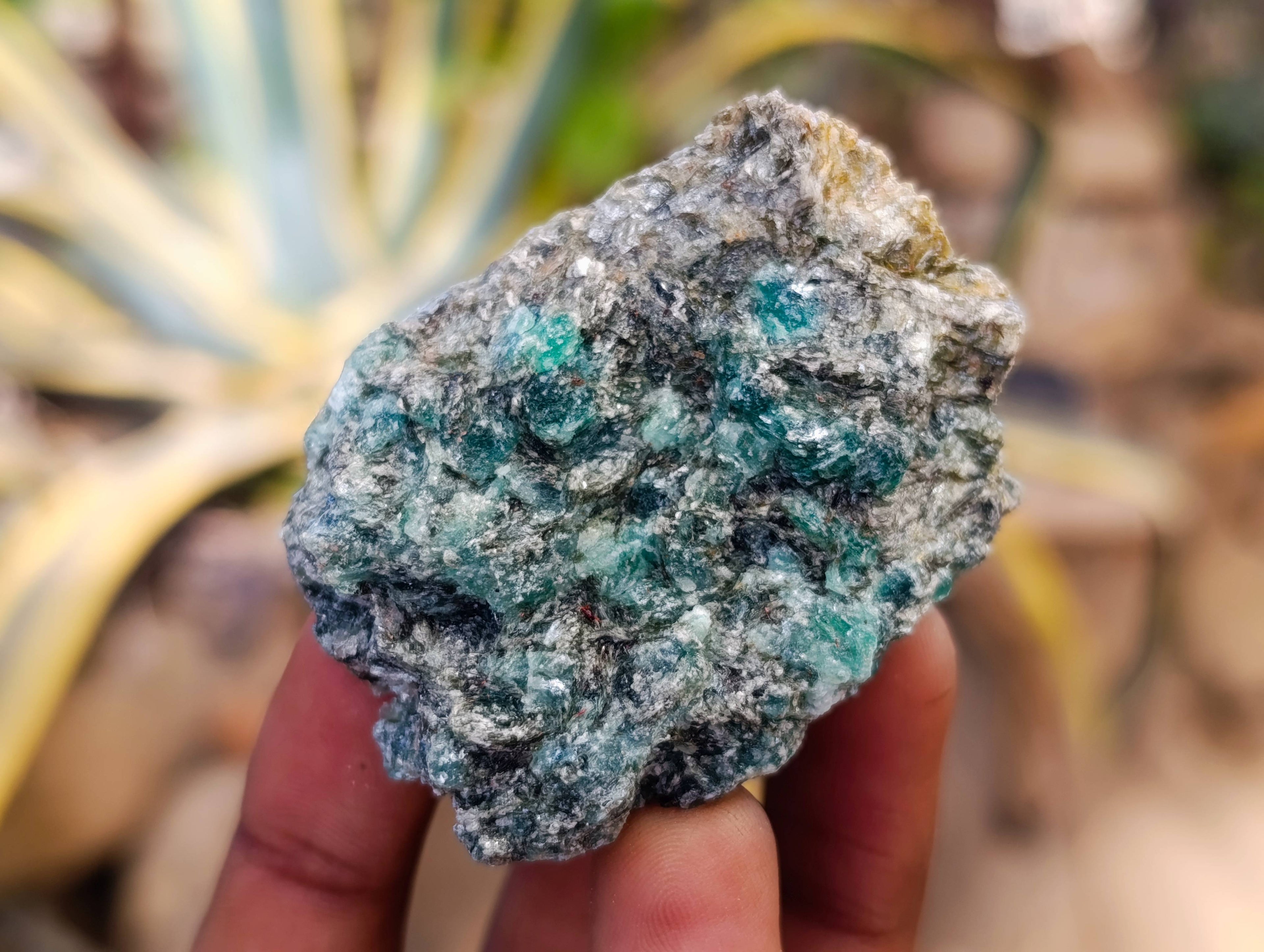 Natural Emerald Mica 'Mutokolite' Specimens x 20 From Mutoko, Zimbabwe - Toprock Gemstones and Minerals 