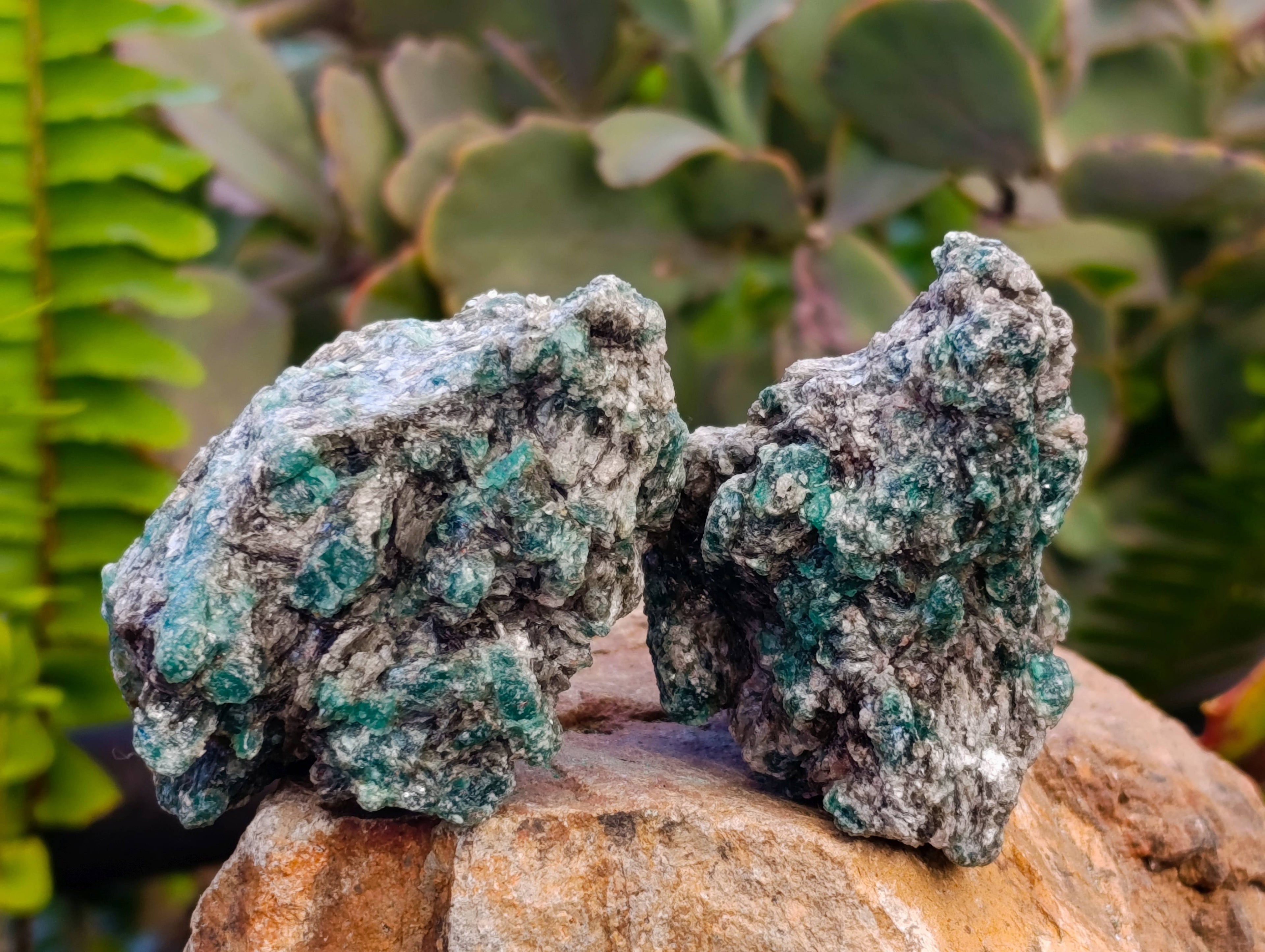 Natural Emerald Mica 'Mutokolite' Specimens x 20 From Mutoko, Zimbabwe - Toprock Gemstones and Minerals 