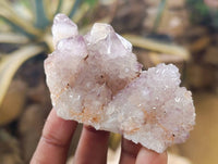 Natural Amethyst Spirit Quartz Crystals x 12 From Boekenhouthoek, South Africa