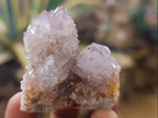Natural Amethyst Spirit Quartz Crystals x 12 From Boekenhouthoek, South Africa - Toprock Gemstones and Minerals 