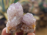 Natural Amethyst Spirit Quartz Crystals x 12 From Boekenhouthoek, South Africa