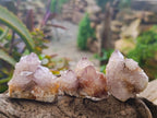 Natural Amethyst Spirit Quartz Crystals x 12 From Boekenhouthoek, South Africa - Toprock Gemstones and Minerals 