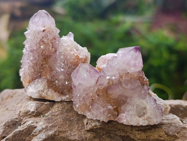 Natural Amethyst Spirit Quartz Crystals x 12 From Boekenhouthoek, South Africa