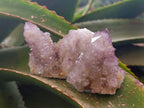 Natural Amethyst Spirit Quartz Crystals x 12 From Boekenhouthoek, South Africa - Toprock Gemstones and Minerals 
