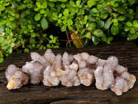Natural Amethyst Spirit Quartz Crystals x 12 From Boekenhouthoek, South Africa