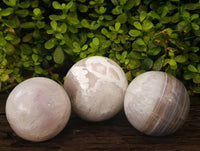 Polished Red Sashe River Agate Spheres x 3 From Sashe River, Zimbabwe