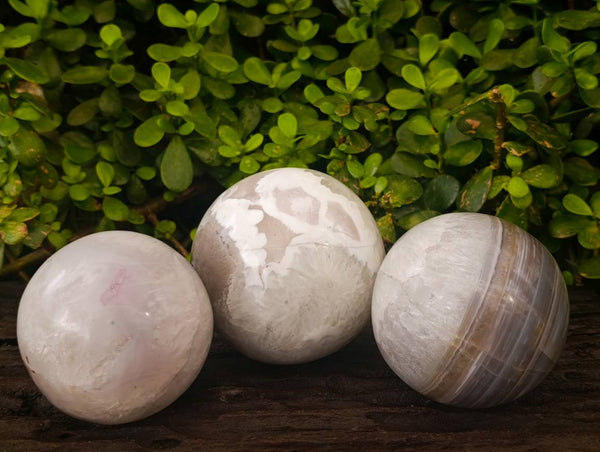 Polished Red Sashe River Agate Spheres x 3 From Sashe River, Zimbabwe