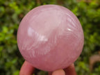 Polished Rose Quartz Spheres x 4 From Madagascar - Toprock Gemstones and Minerals 