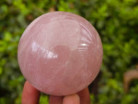 Polished Rose Quartz Spheres x 4 From Madagascar