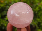 Polished Rose Quartz Spheres x 4 From Madagascar - Toprock Gemstones and Minerals 