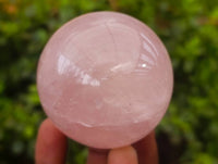 Polished Rose Quartz Spheres x 4 From Madagascar