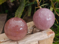 Polished Rose Quartz Spheres x 4 From Madagascar