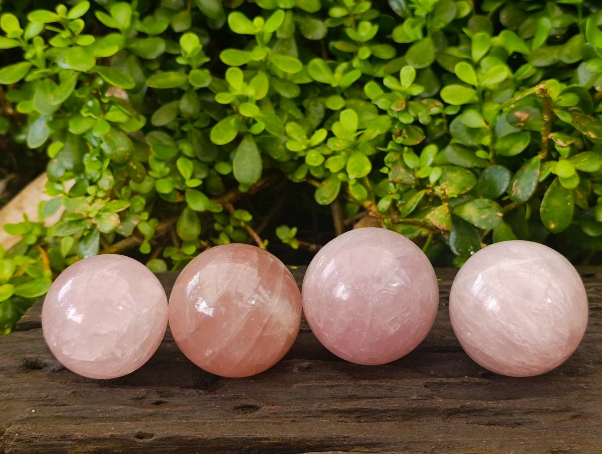Polished Rose Quartz Spheres x 4 From Madagascar - Toprock Gemstones and Minerals 